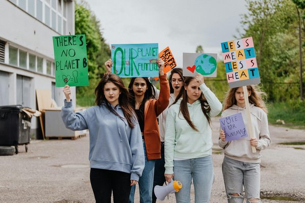 Service couvreur à angers: entretien et prévention des toitures